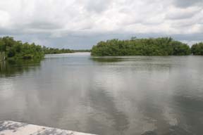 Tarpon Bay